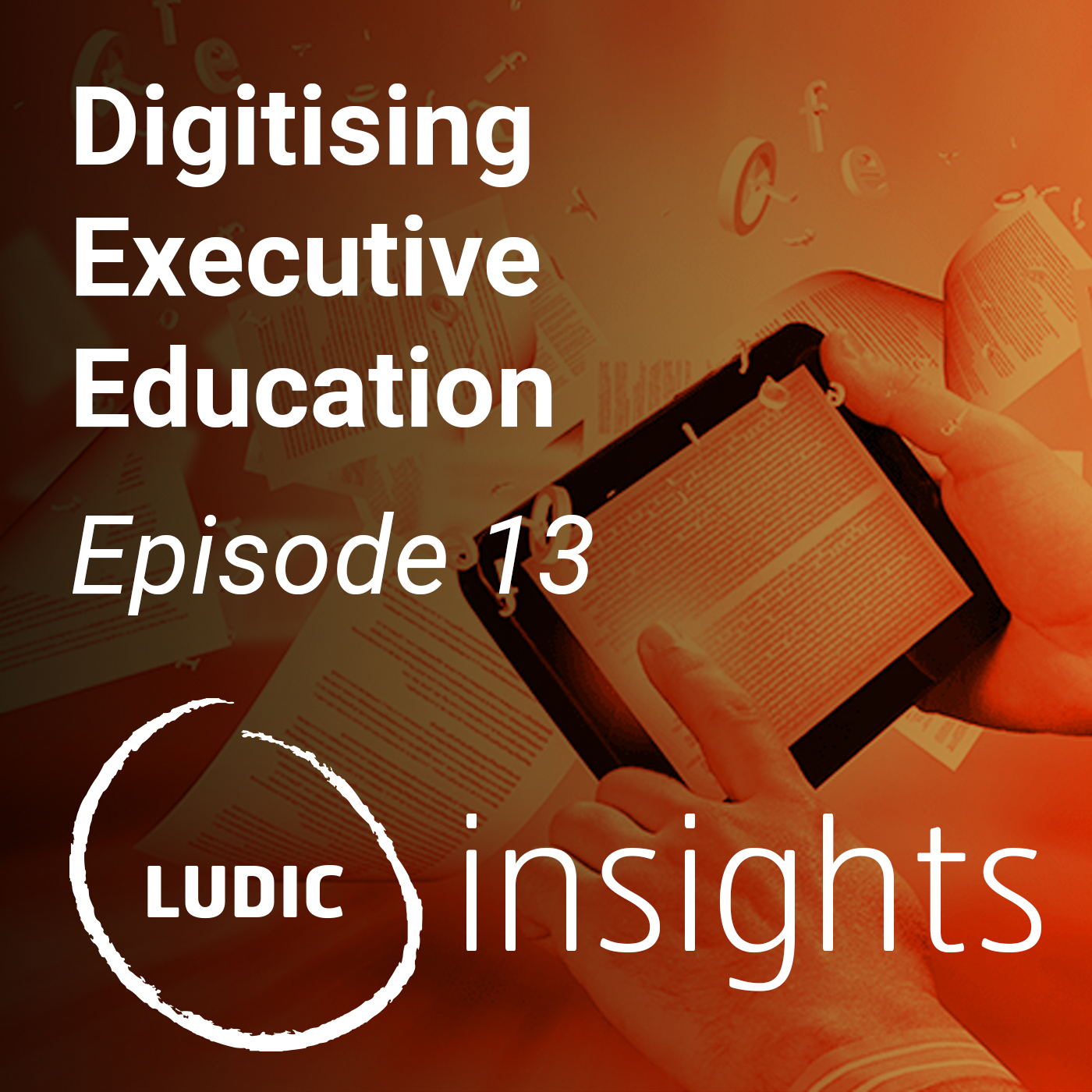 191217_linkedin_podcast_art_Episode_13_SQUARE Insights, Subscribe and listen to the Ludic Consulting Podcast