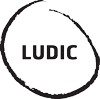 LUDIC_LOGO_BLACK_new Creating Enterprise Wide Values and Behaviours - Ludic Consulting