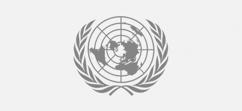 united-nations Ludic Consulting Clients | We work with world class organisations