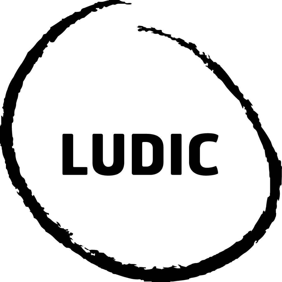 LUDIC_LOGO_BLACK_new Engagement Campaign - Ludic Consulting